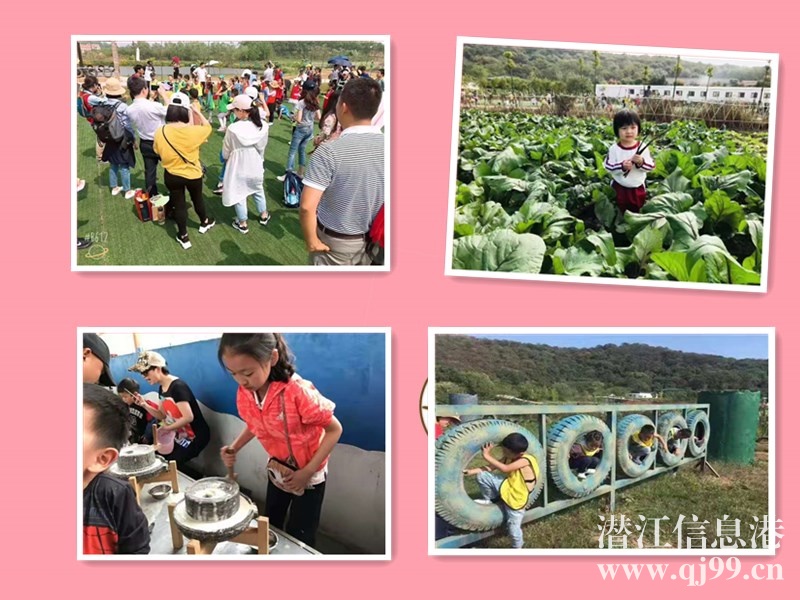 江夏秋季學(xué)生出游有家景點(diǎn)背景驚人早鳥速度多種類型快來(lái)種草